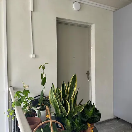 Orbeliani Cozy Flat Apartment Tbilisi Exterior photo